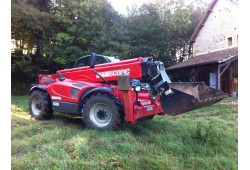 chariot telescopique occasion